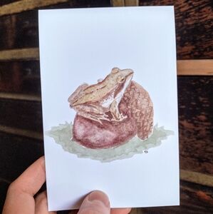 Wood Frog and Acorn Postcard